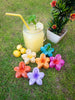 Flower Hair Claw Clips (Special Edition)
